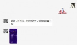 爆料公社短视频网站在线观看,短视频网站带你领略精彩瞬间