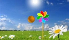 风车在线观看,探寻自然与科技的和谐共鸣